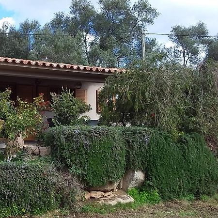 Villa Casa-Lesia à Porto-Vecchio  Extérieur photo